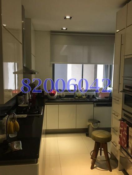 The Boulevard Residence (D10), Apartment #160664732